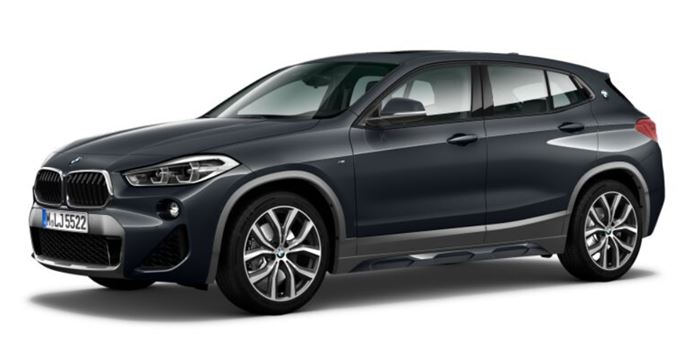 bmw x2 2019 flex