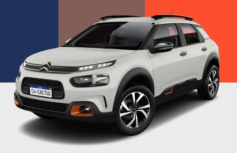 c4 cactus feel pack 2024