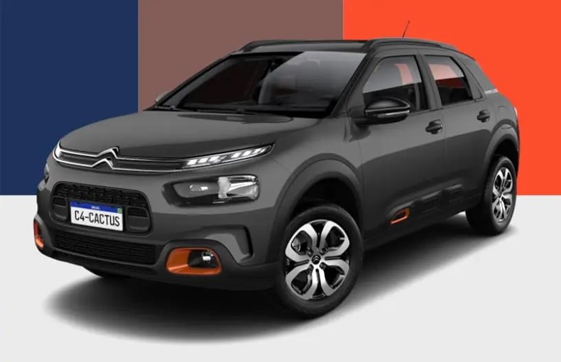 c4 cactus feel 2024