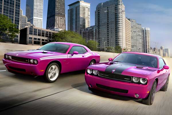 dodge challenger furious fuchsia 2010