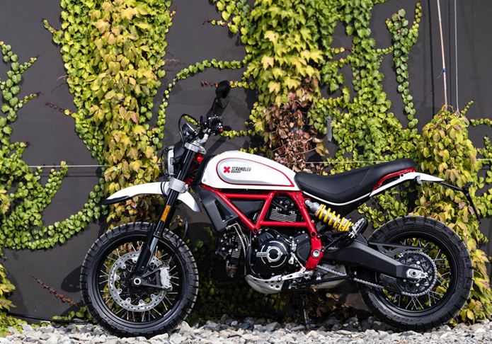 ducati Scrambler Desert Sled 2019 