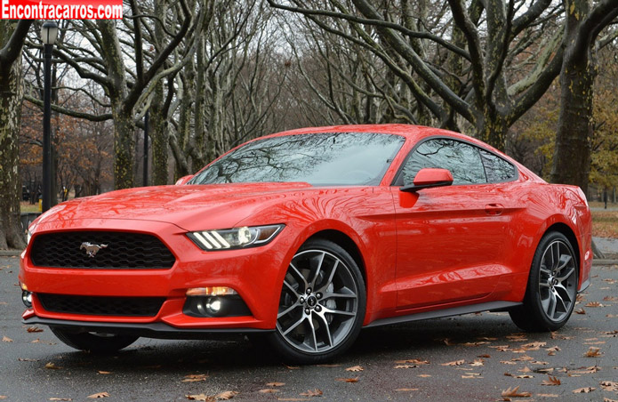 novo mustang