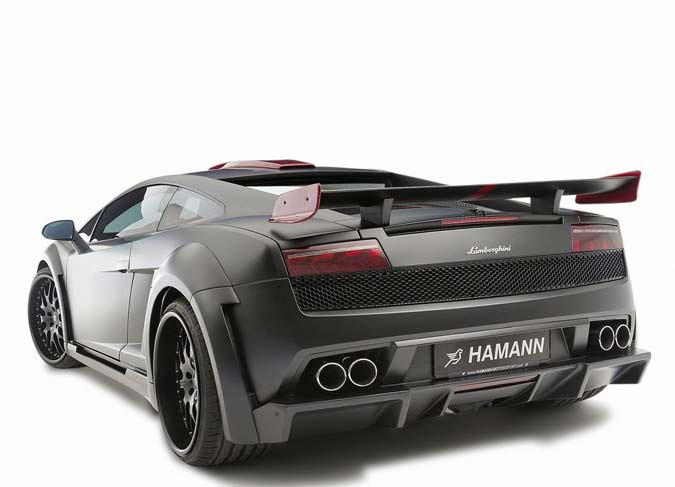 hamann victory 2010