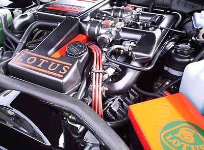 lotus omega / lotus carlton