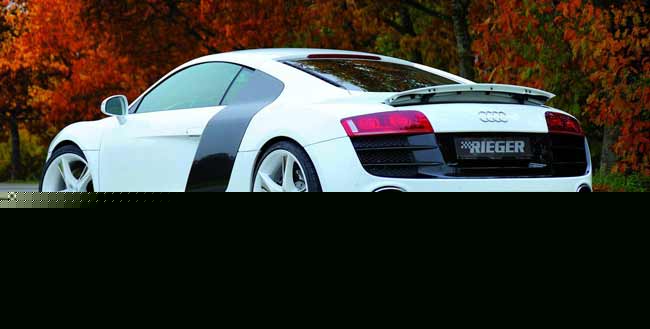 reiger audi r8 v10