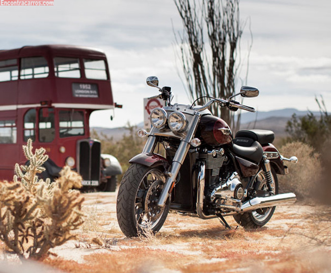 triumph thunderbird commander