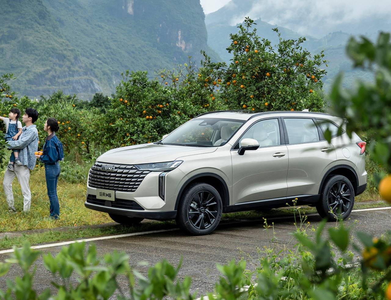 haval h6 2026