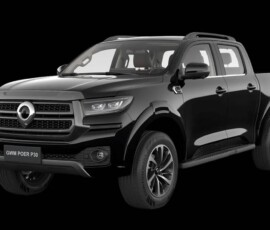 GWM Poer P30 Trail GWM Poer P30 Trail