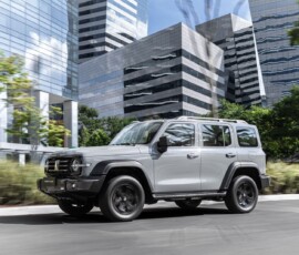 GWM Tank 300 Flex GWM Tank 300 Flex