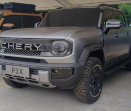 Chery Stockman Chery Stockman