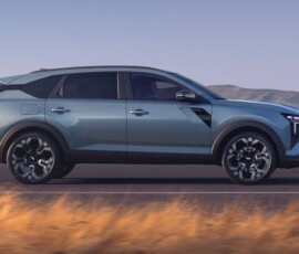 Dacia Striker Dacia Striker