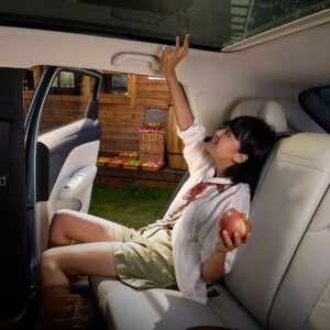 baic arcfox T1 interior baic arcfox T1 interior
