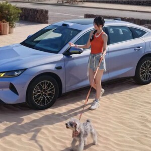 BYD Qin Plus DM-i 2027 BYD Qin Plus DM-i 2027